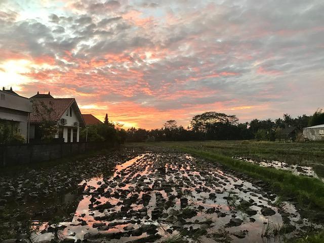 Heavenly View Villa Убуд Екстер'єр фото