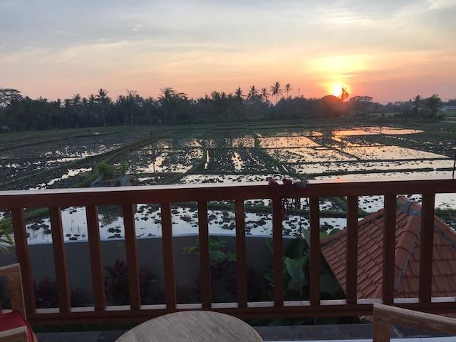 Heavenly View Villa Убуд Екстер'єр фото